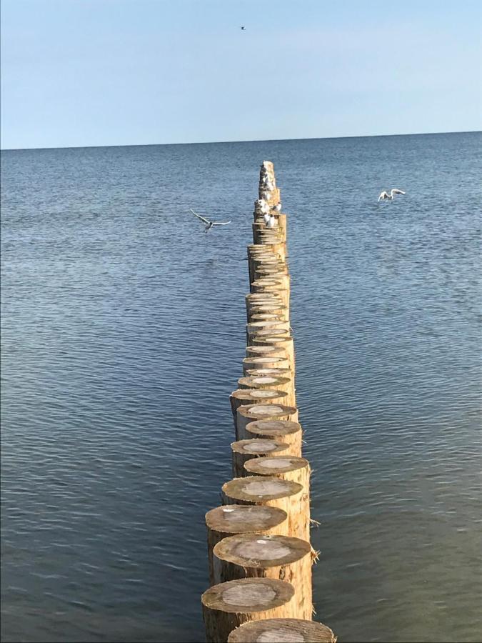 Ive'S Gardenia Seaside Apartment Dziwnów Екстериор снимка